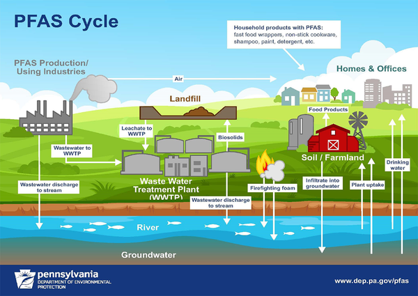 PFAS and Forever Chemicals – A New Man-Made Cycle (The PFAS Cycle) Tha ...