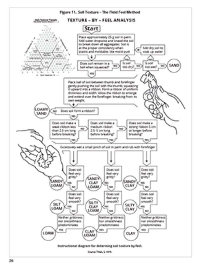 Soil Guide Soil Science Guide to Soils: The Vital Life-Giving Layers Beneath Our ...